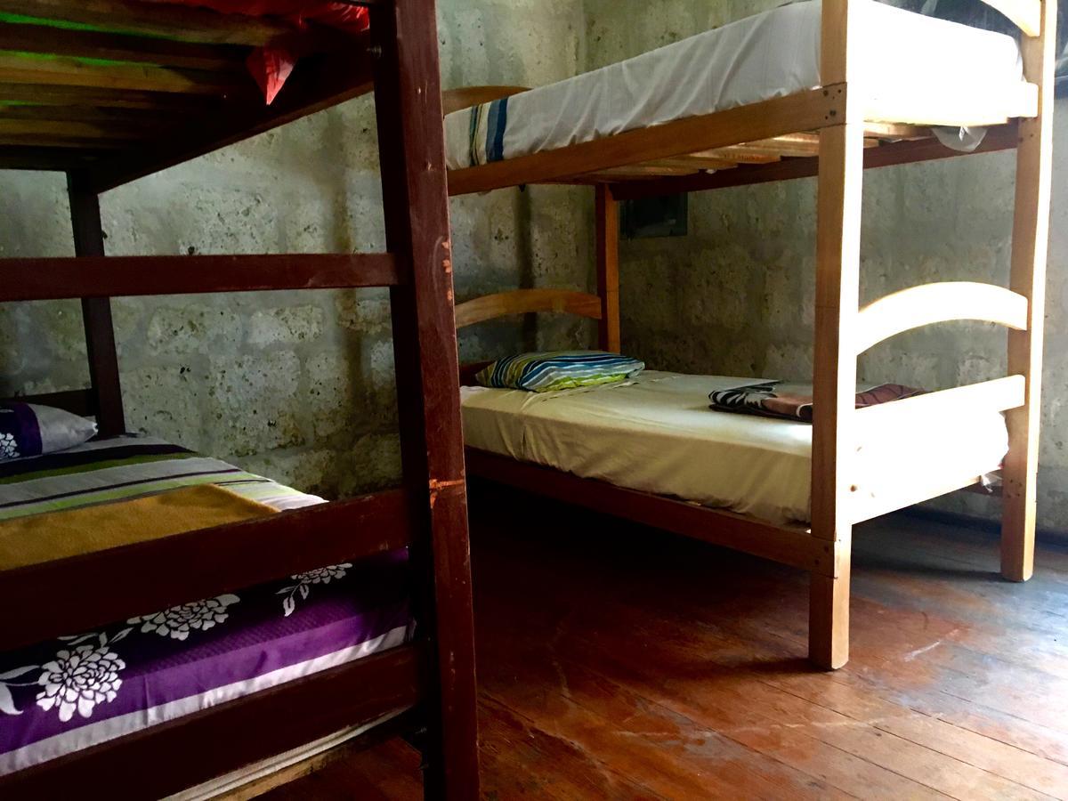 Lion Aqp Hostel Yanahuara Екстер'єр фото